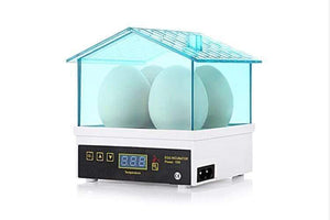 Egg Incubator Hatching Chicken Duck Quail 4 Eggs