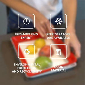 Food Preservation Tray