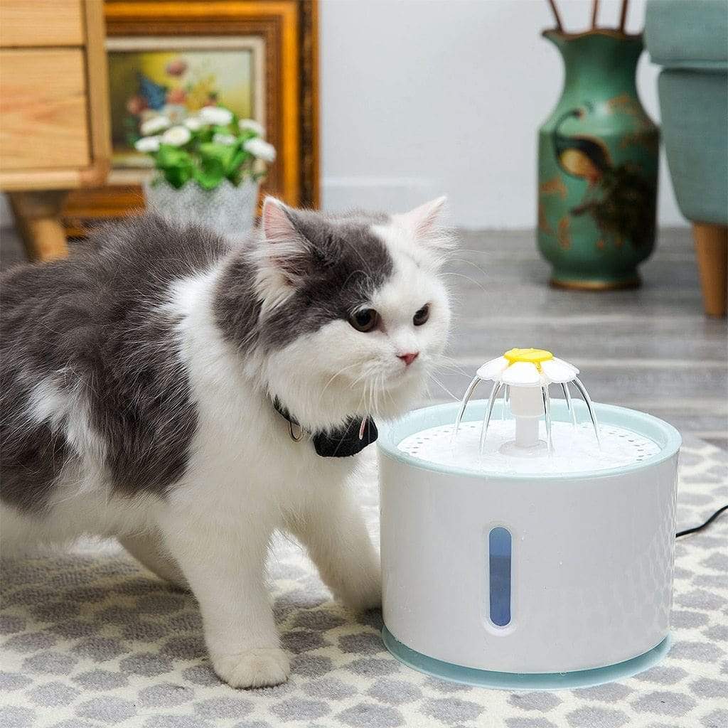 Cat Water Fountain Drinking