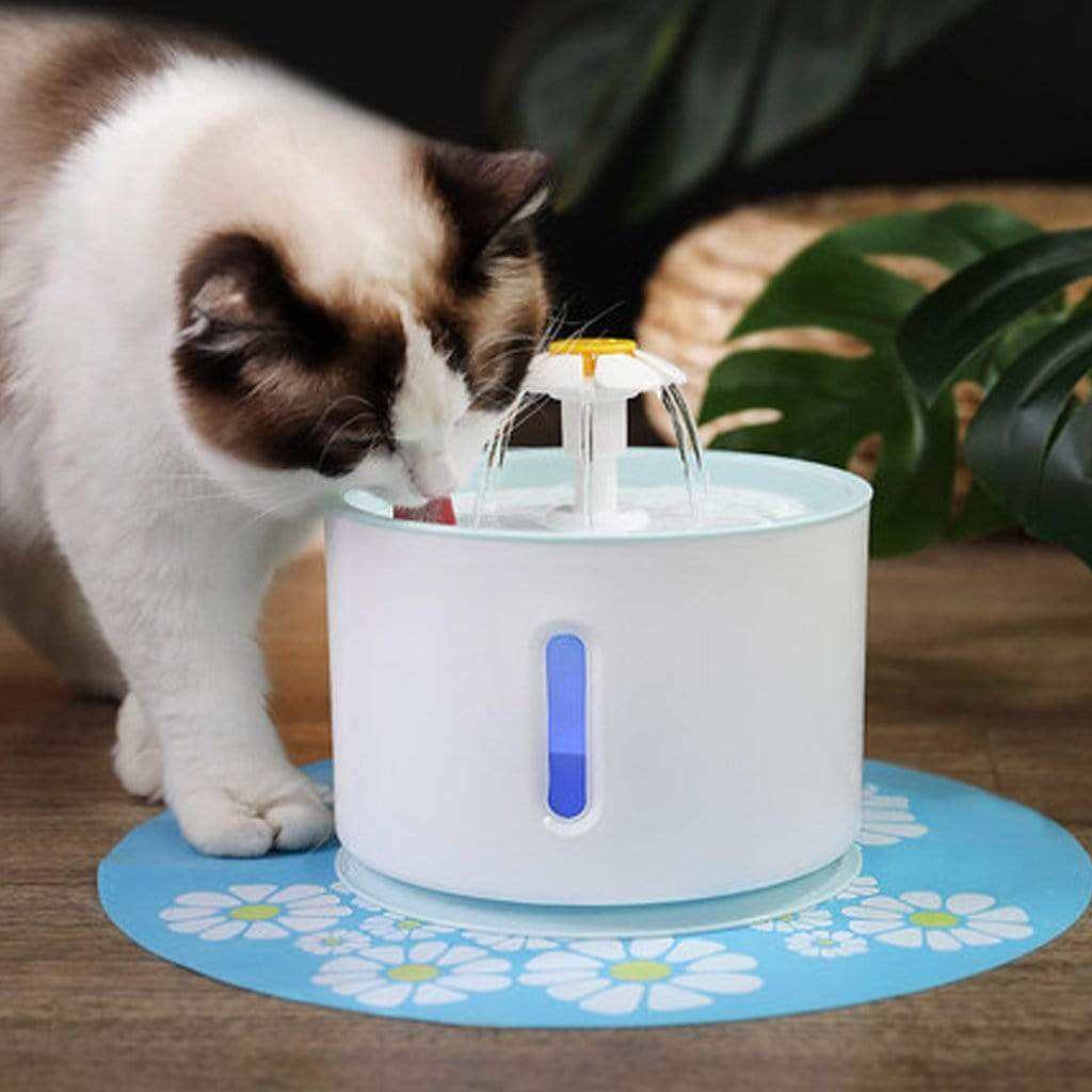 Cat Water Fountain Drinking