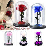 Eternal Rose Flower With Dome Glass Black Case Artificial Flower Gift For New Year Valentine Christmas Gif  Good Home Decoration