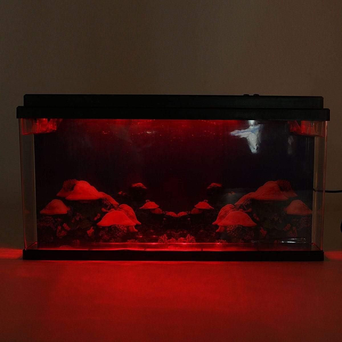 Jellyfish Tank Aquarium Kit