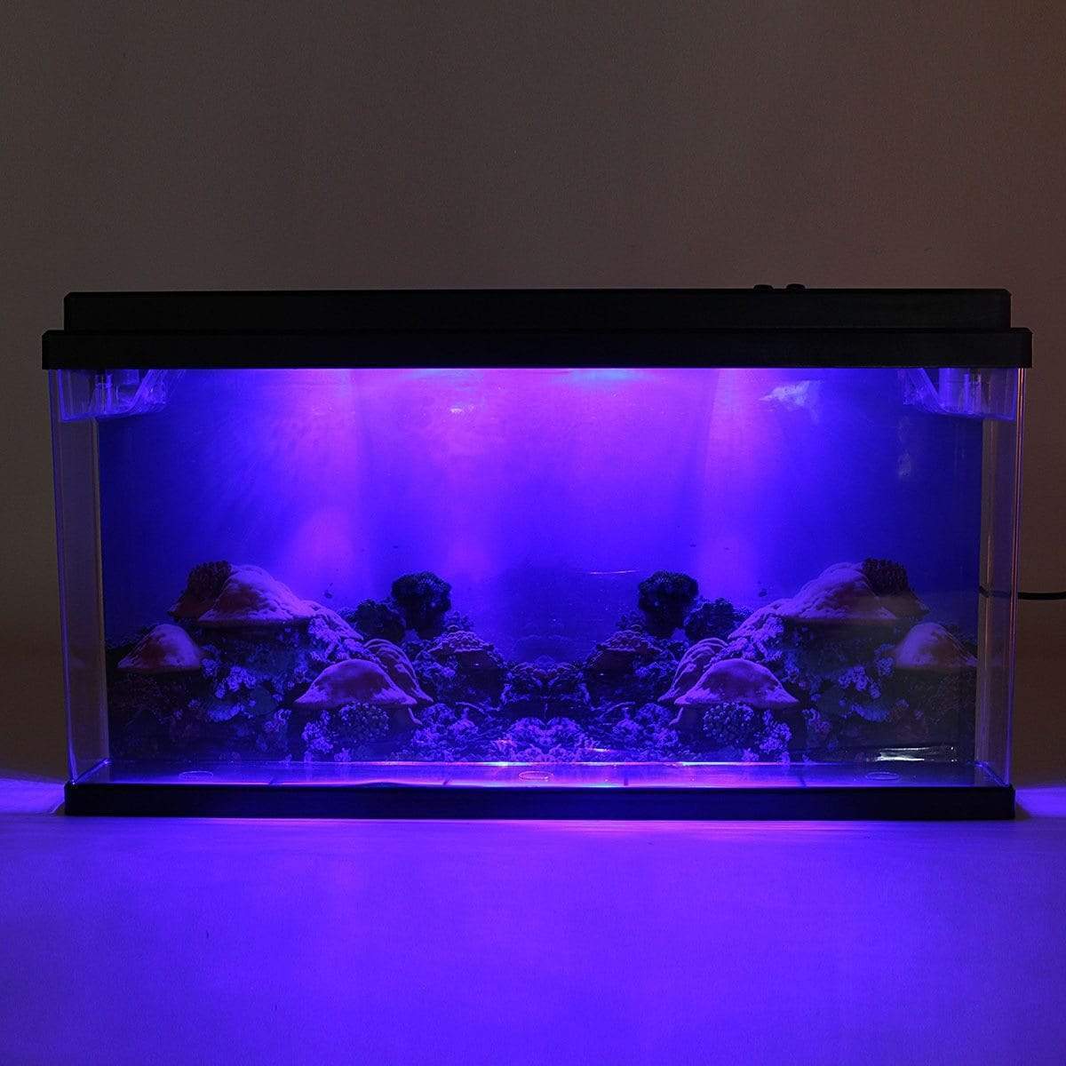 Jellyfish Tank Aquarium Kit