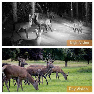 Trail Camera Game Deer Wildlife Wireless Cam